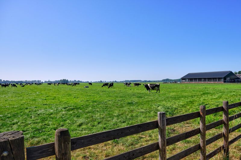 Pasture Fence Installation Costs — Cost of Pasture Fence Installation