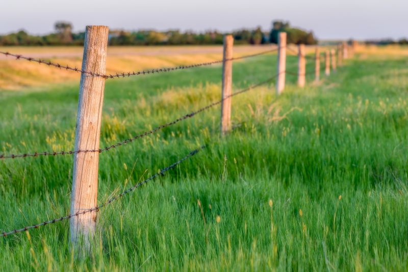 Pasture Fence Installation Costs — Cost of Pasture Fence Installation