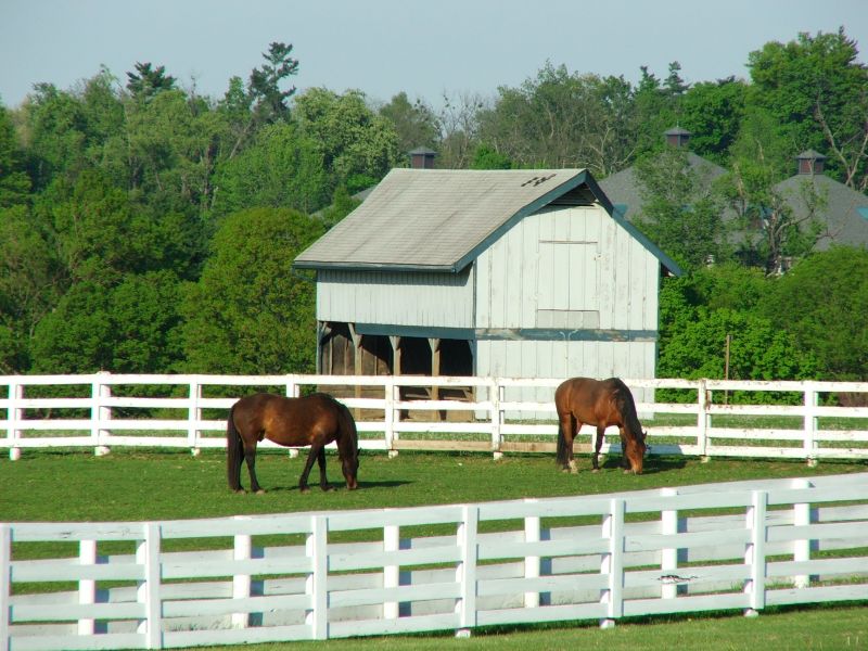 Pasture Fence Installation